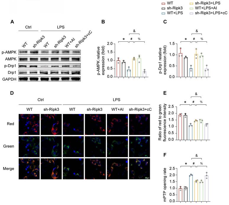 Int J Med Sci Image