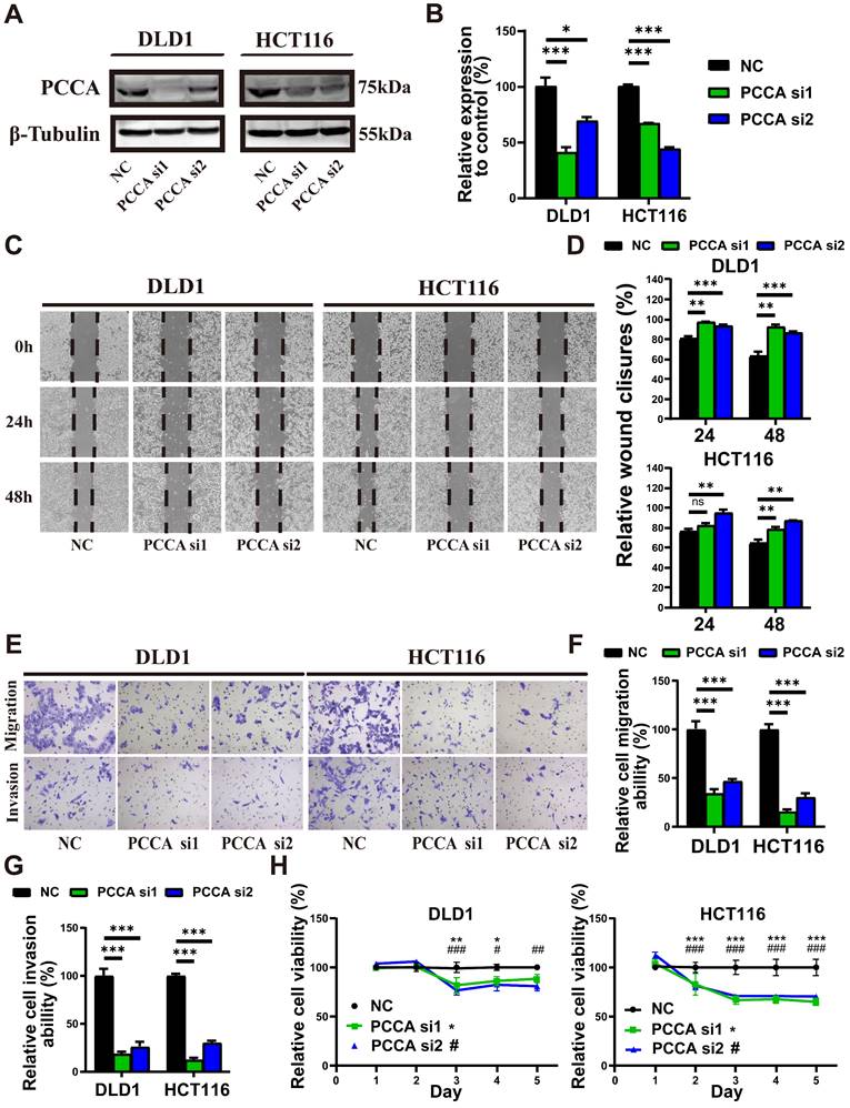 Int J Med Sci Image