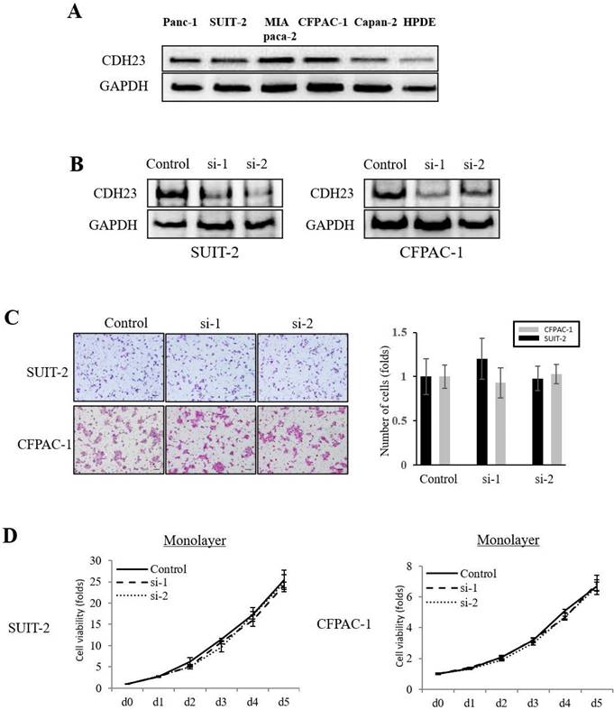 Int J Med Sci Image