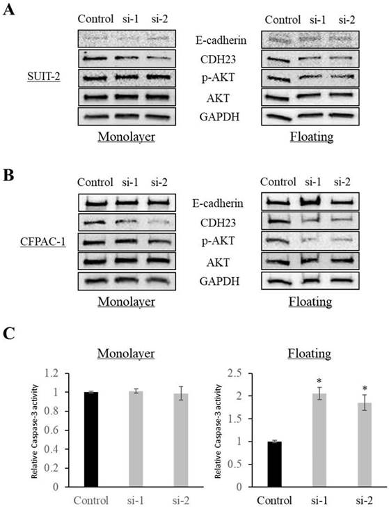 Int J Med Sci Image