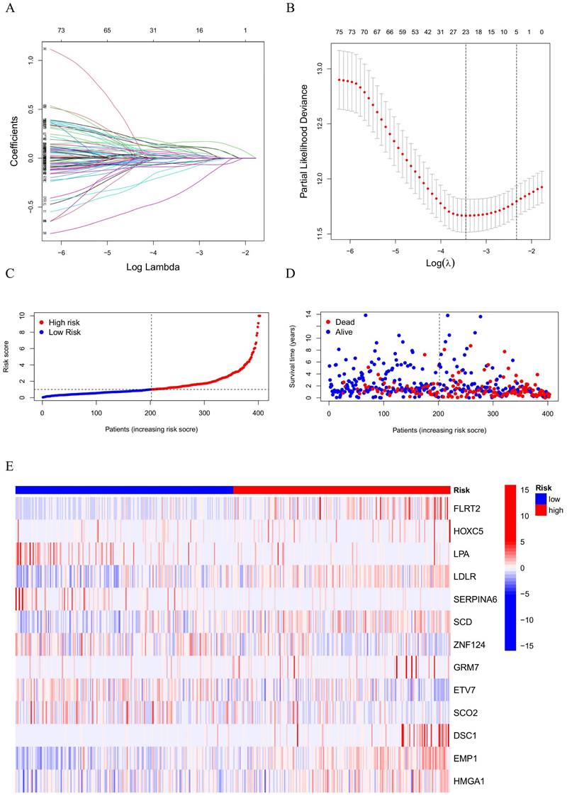 Int J Med Sci Image