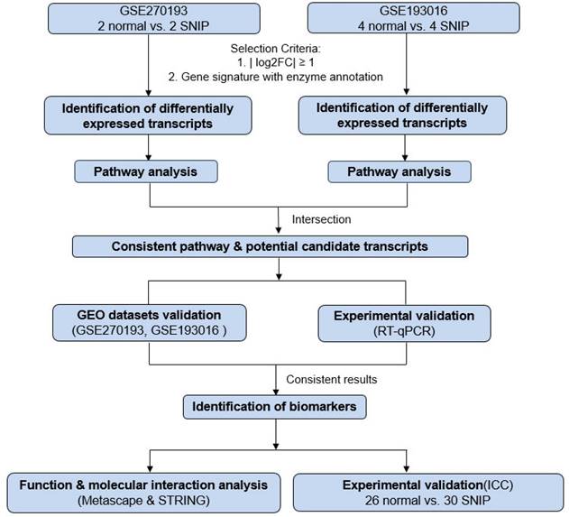 Int J Med Sci Image