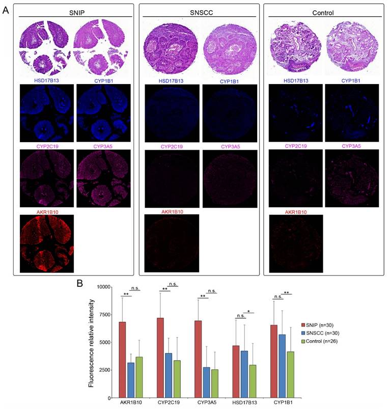 Int J Med Sci Image