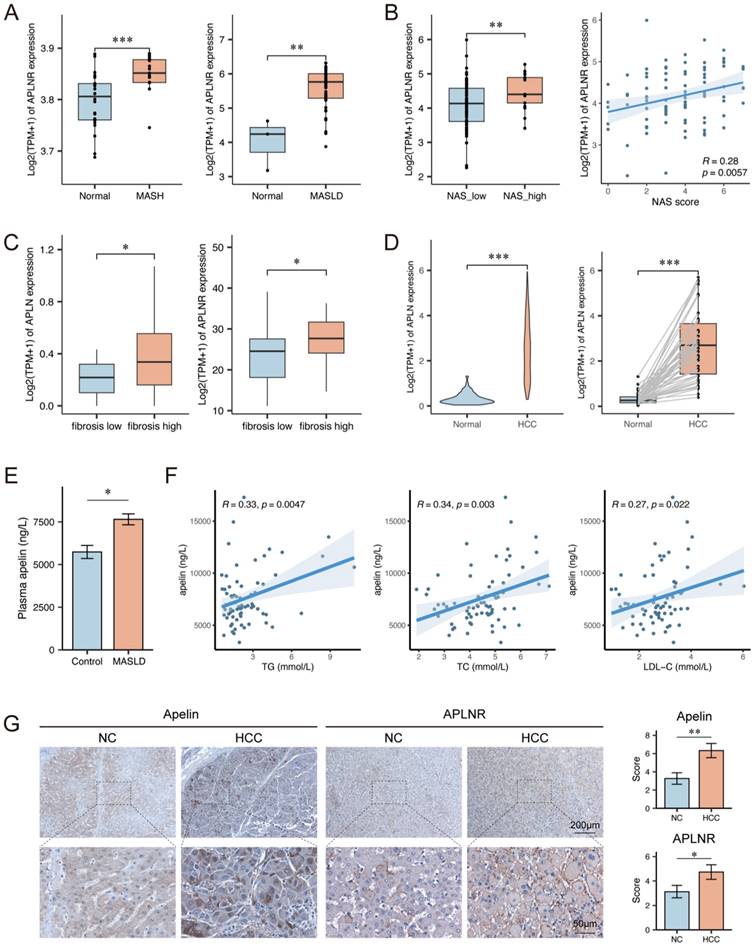 Int J Med Sci Image