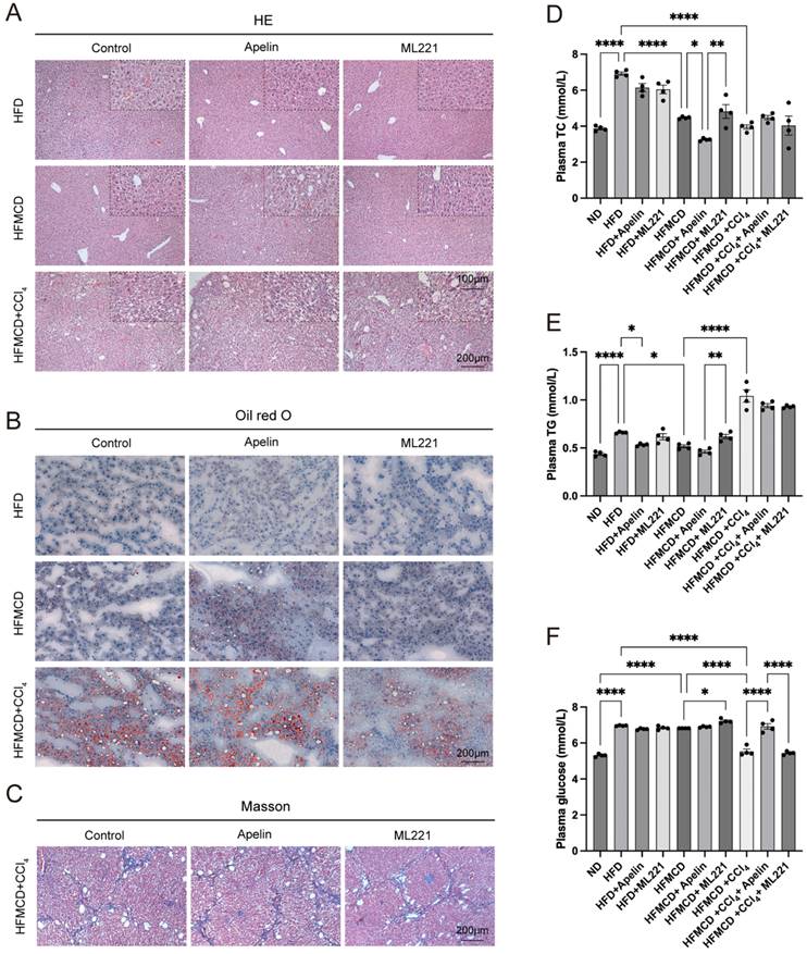 Int J Med Sci Image