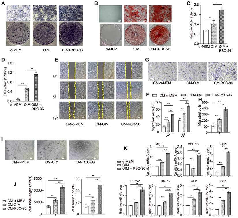 Int J Med Sci Image