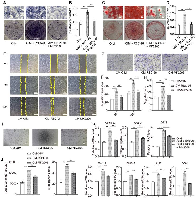 Int J Med Sci Image