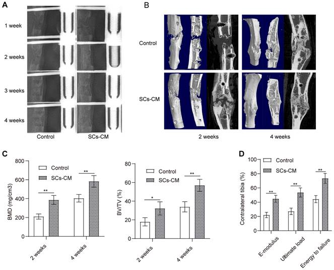 Int J Med Sci Image