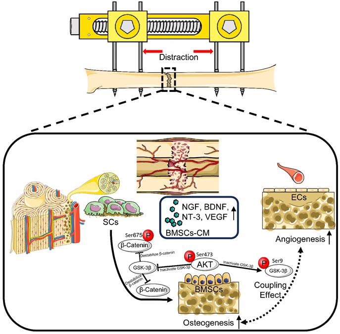 Int J Med Sci Image