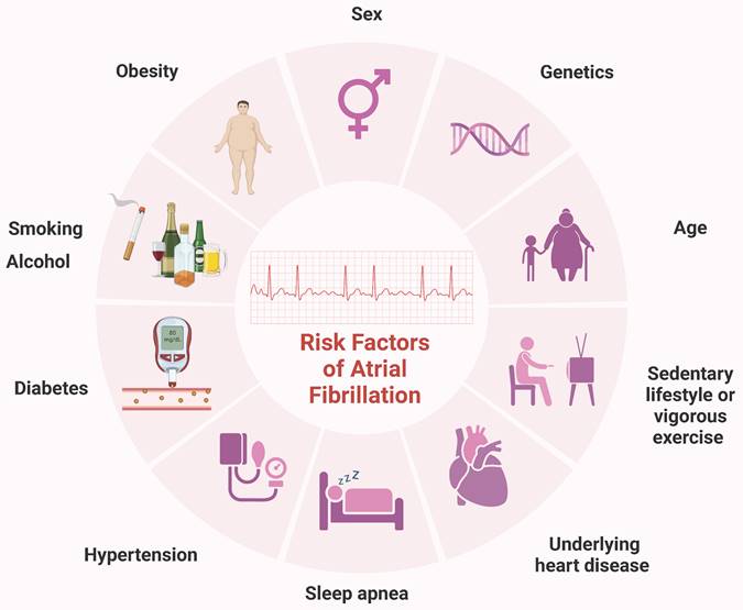 Int J Med Sci Image