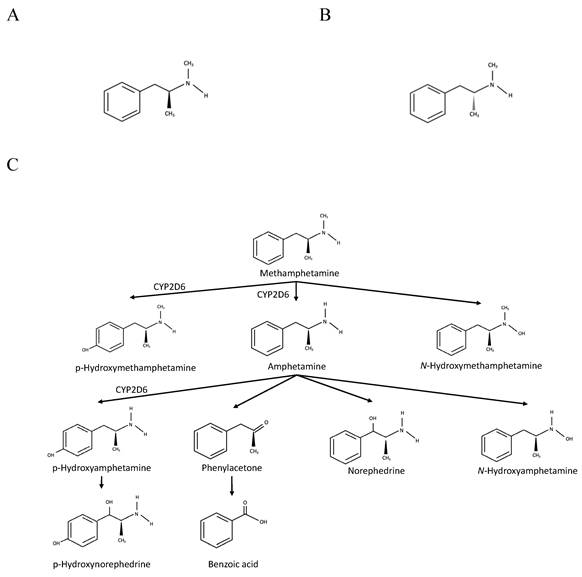 Int J Med Sci Image