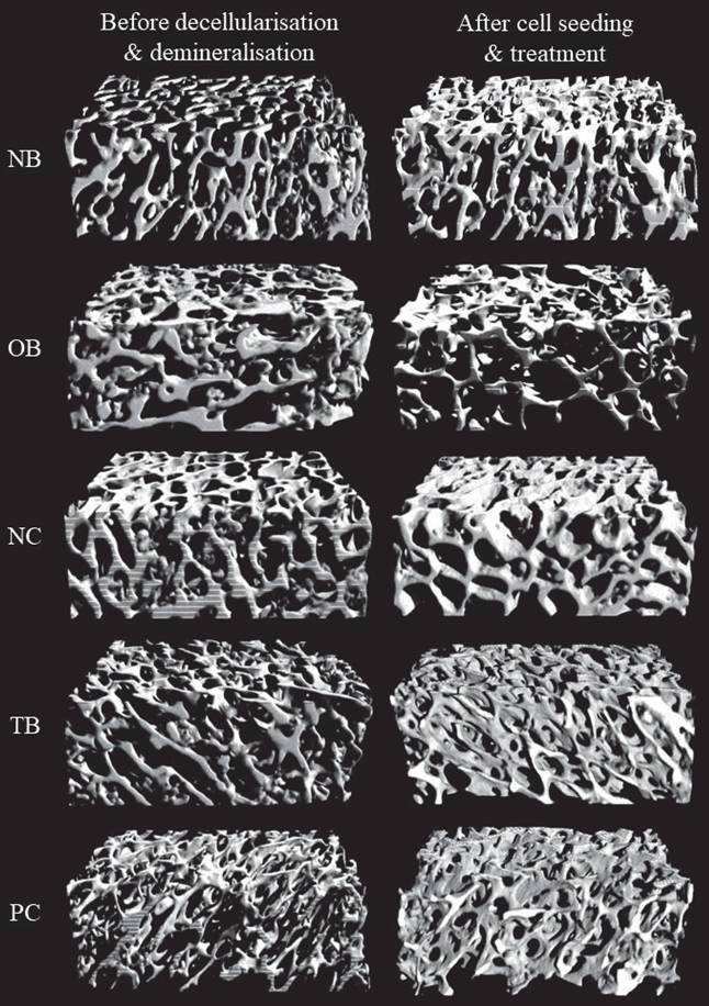 Int J Med Sci Image