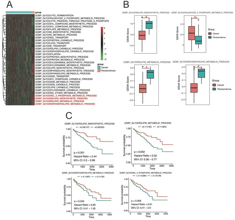 Int J Med Sci Image