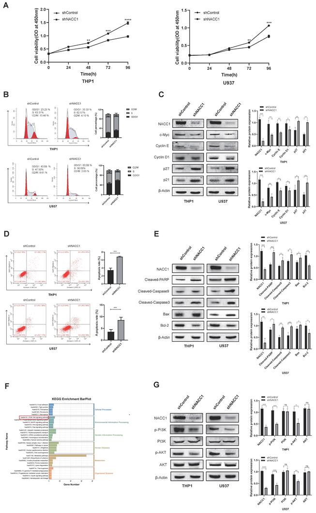 Int J Med Sci Image