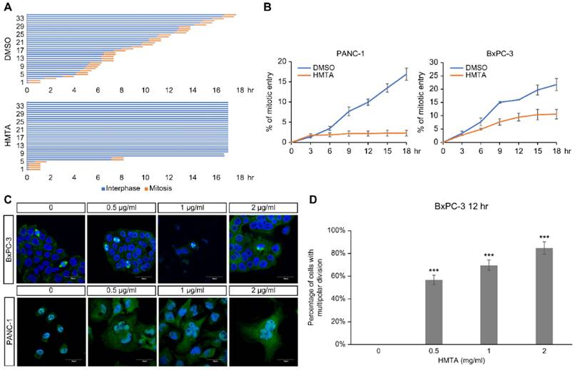 Int J Med Sci Image