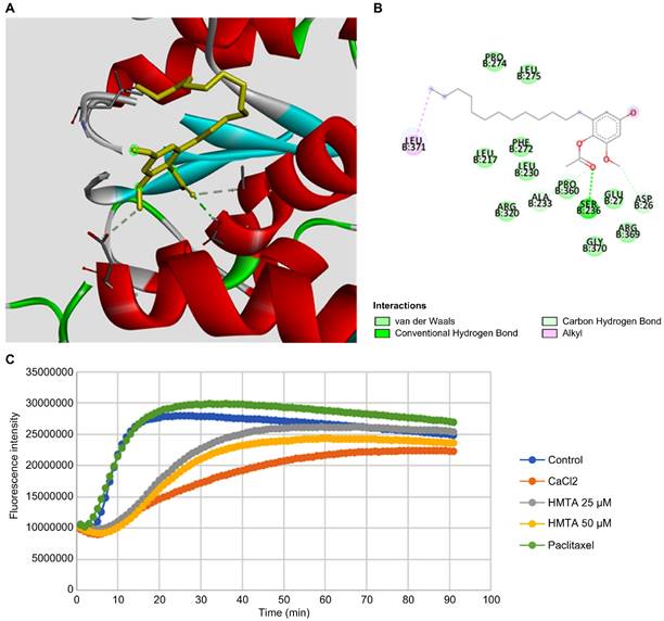 Int J Med Sci Image