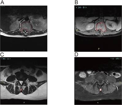 Int J Med Sci Image