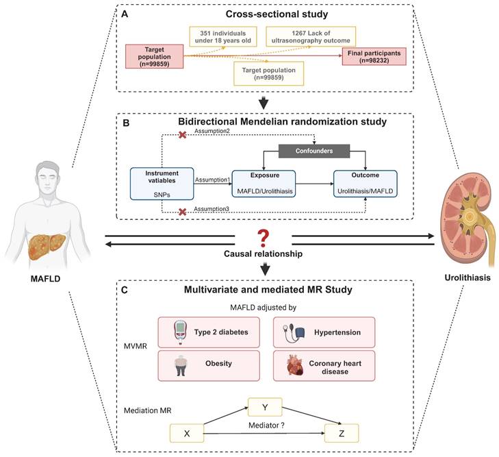 Int J Med Sci Image