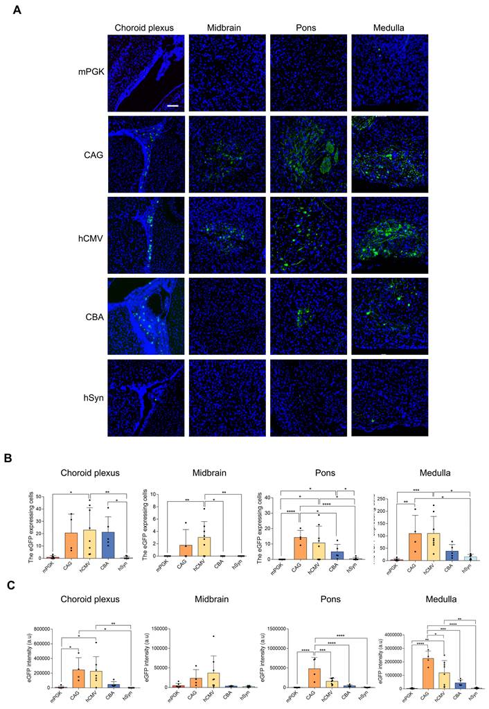 Int J Med Sci Image