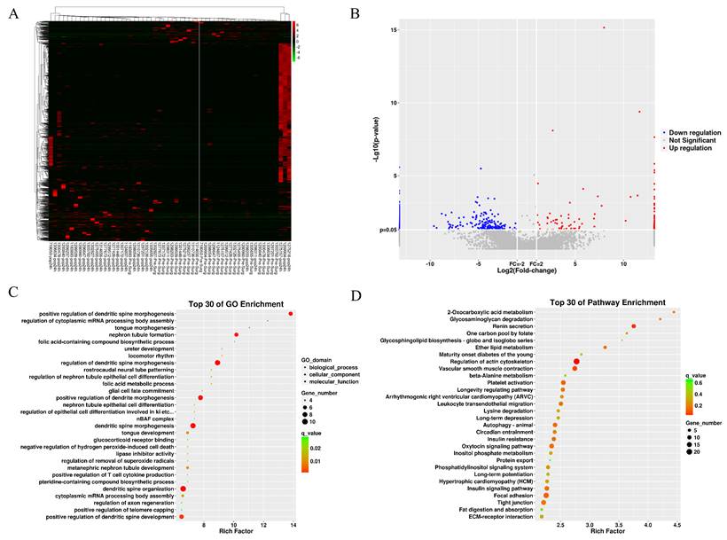 Int J Med Sci Image