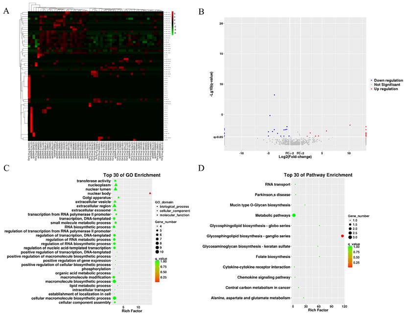 Int J Med Sci Image