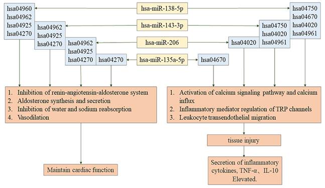 Int J Med Sci Image