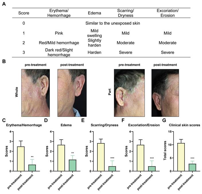 Int J Med Sci Image