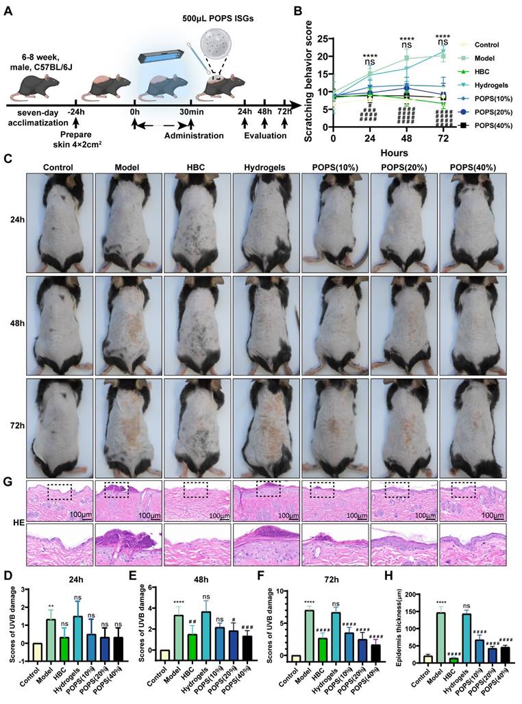 Int J Med Sci Image