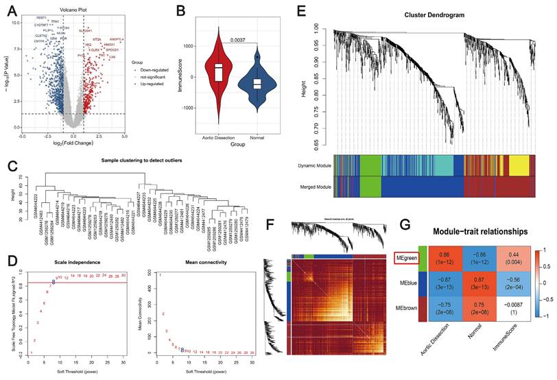 Int J Med Sci Image