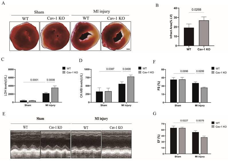 Int J Med Sci Image