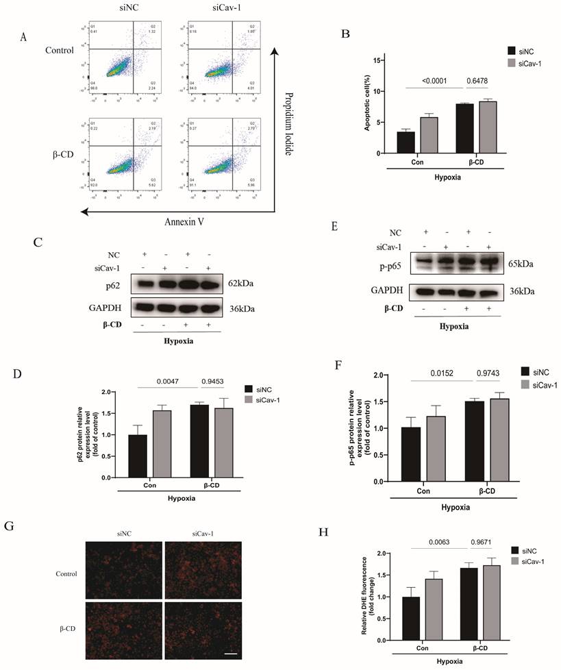 Int J Med Sci Image