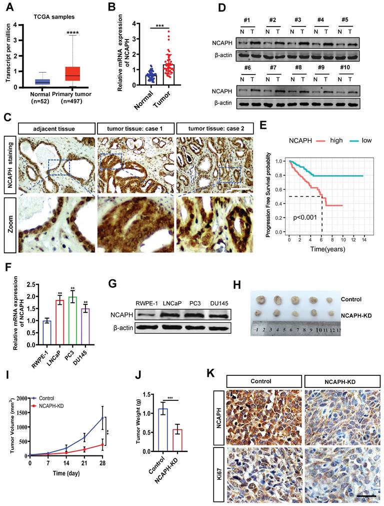 Int J Med Sci Image