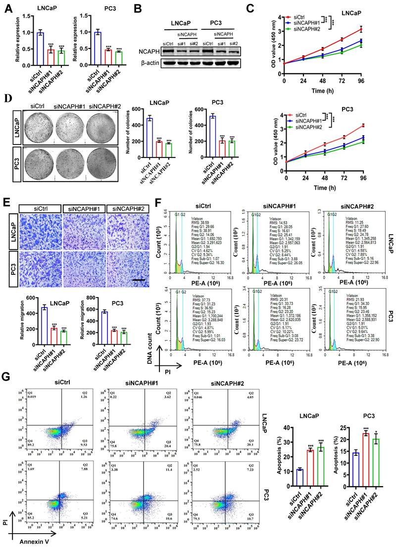 Int J Med Sci Image