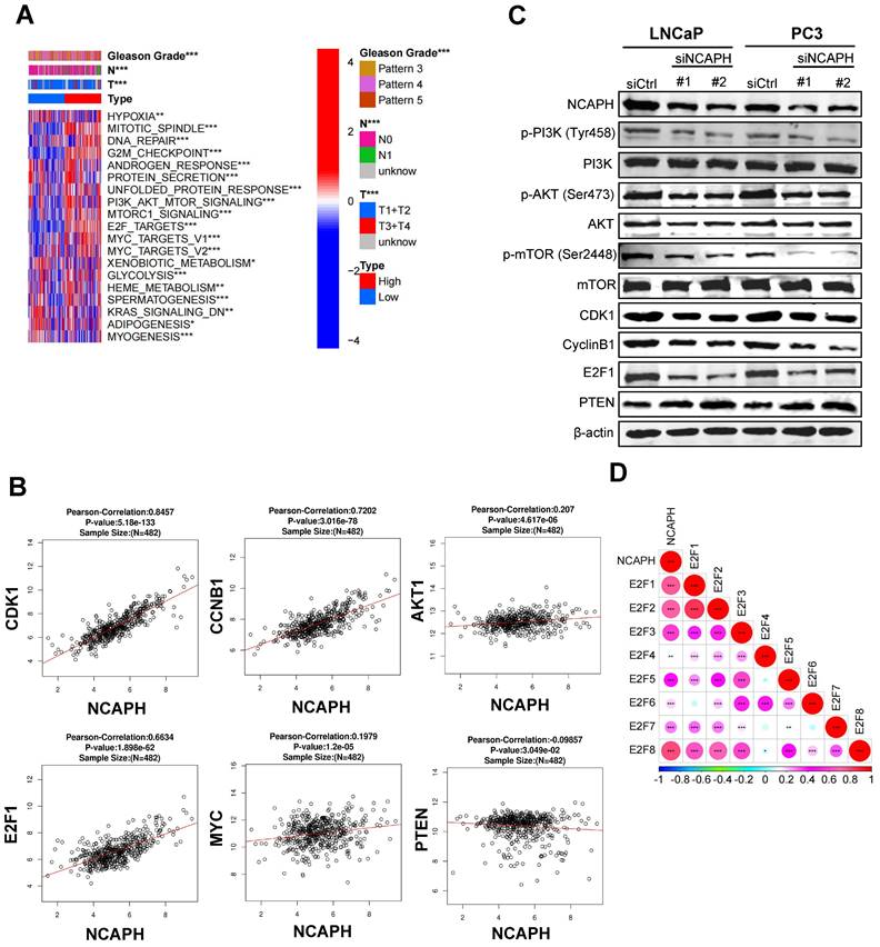 Int J Med Sci Image