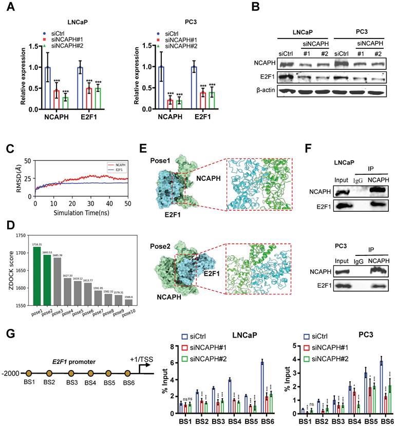 Int J Med Sci Image