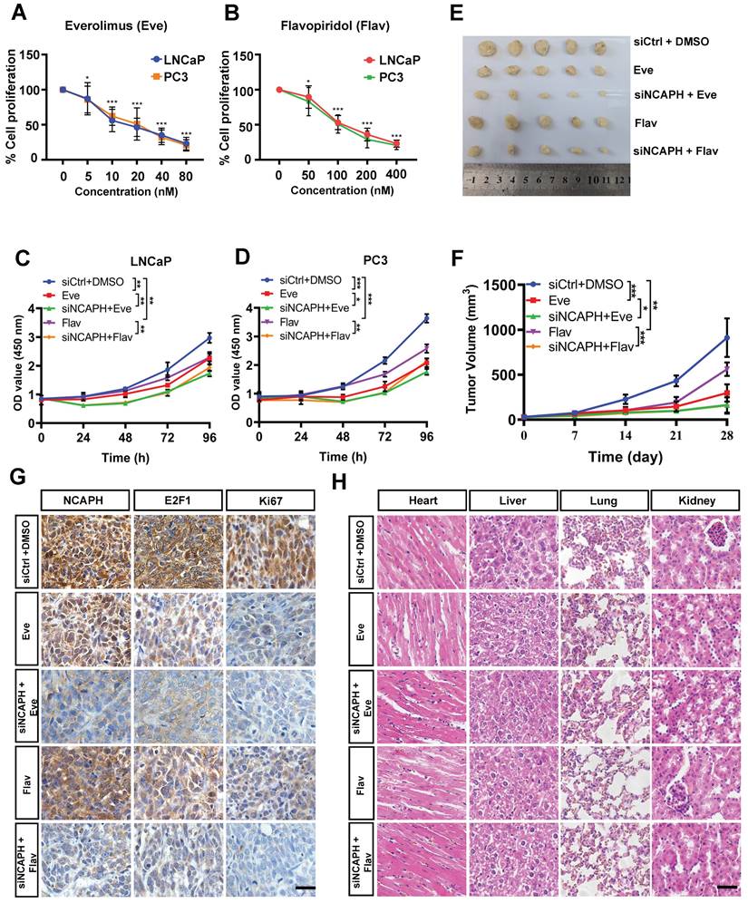 Int J Med Sci Image