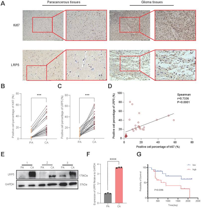 Int J Med Sci Image