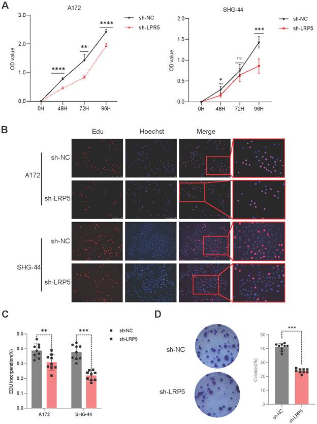 Int J Med Sci Image