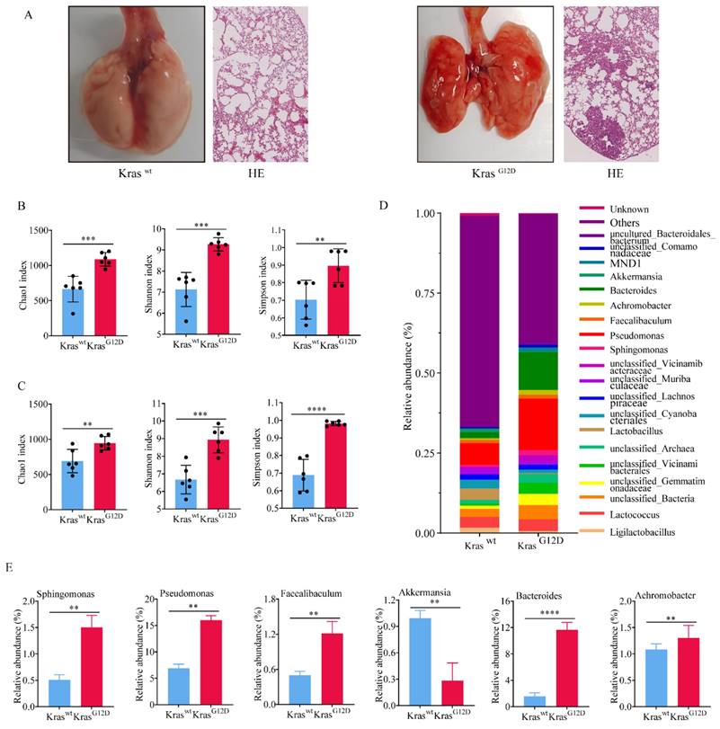 Int J Med Sci Image