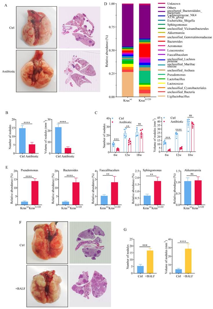 Int J Med Sci Image