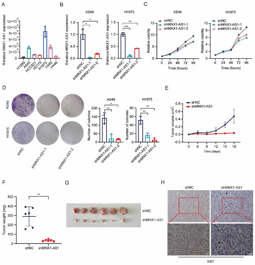 Int J Med Sci Image