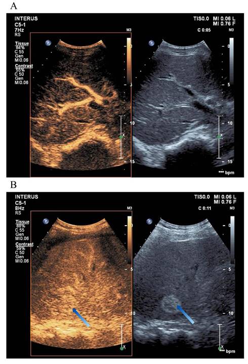 Int J Med Sci Image