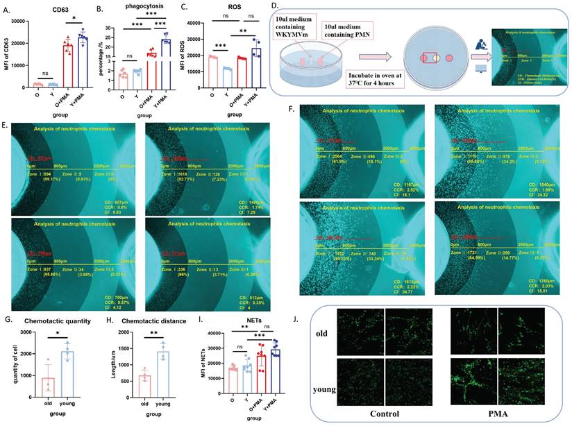 Int J Med Sci Image