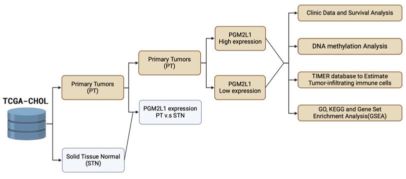 Int J Med Sci Image