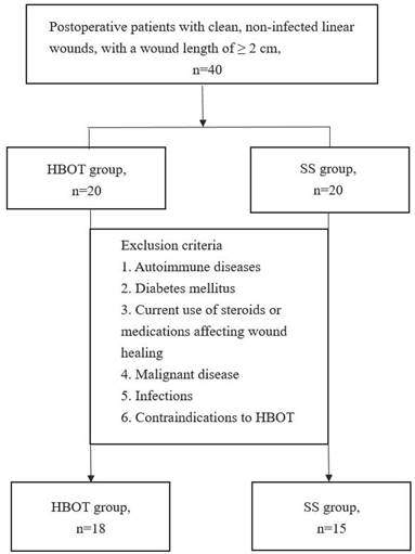 Int J Med Sci Image