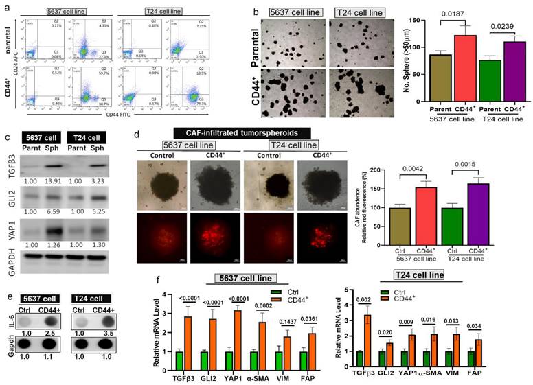 Int J Med Sci Image