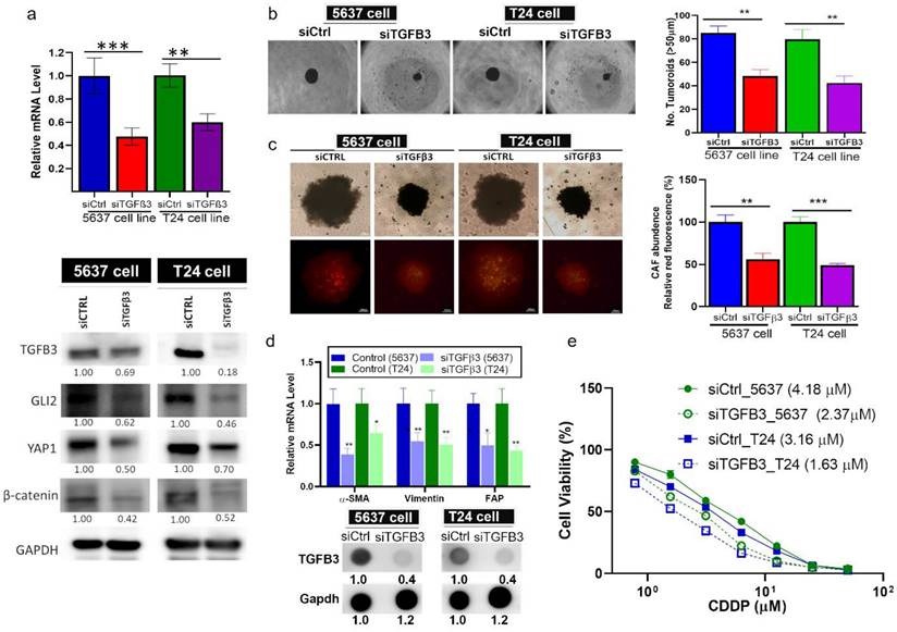 Int J Med Sci Image