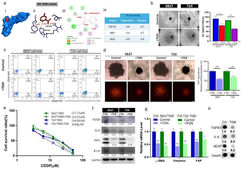 Int J Med Sci Image