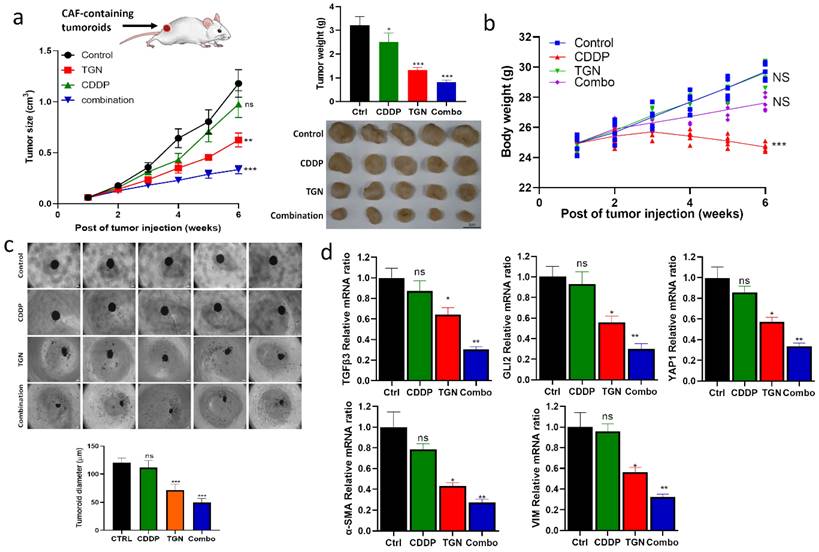 Int J Med Sci Image