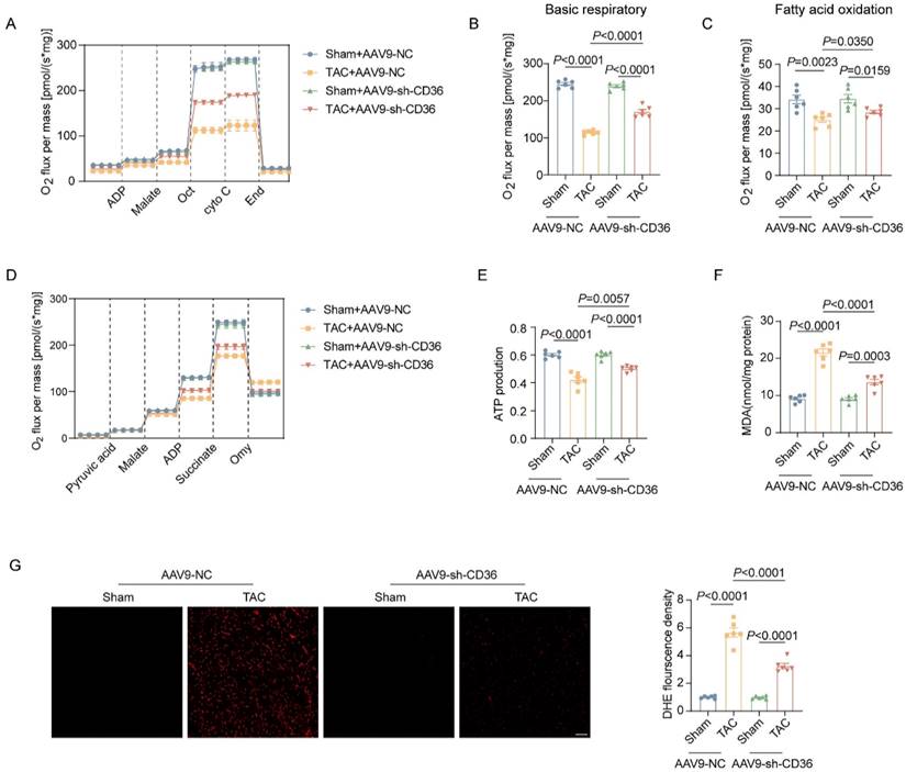 Int J Med Sci Image